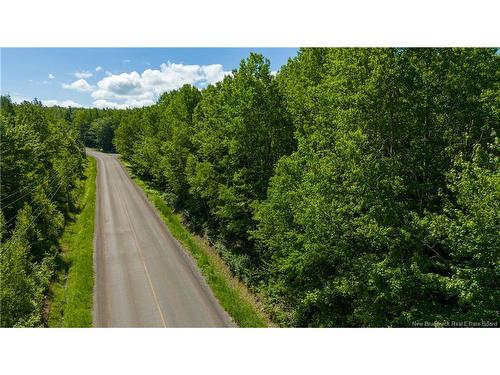 Lot 1 Route 895, Anagance, NB 