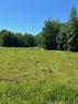 Lot Ridge Rd, Chipman, NB 