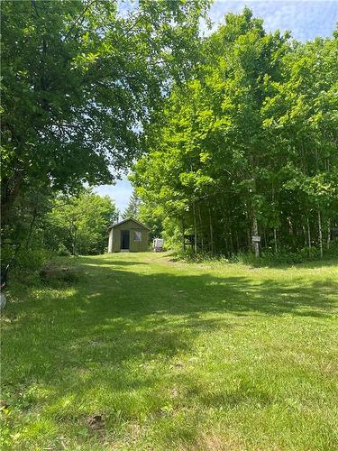 Lot Boyd Mountain Rd, Elgin, NB 