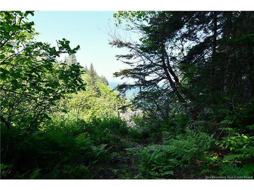 Lot 86-16 Fundy Dr, Wilsons Beach, NB 