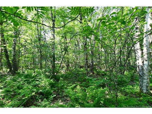 Lot 86-16 Fundy Dr, Wilsons Beach, NB 