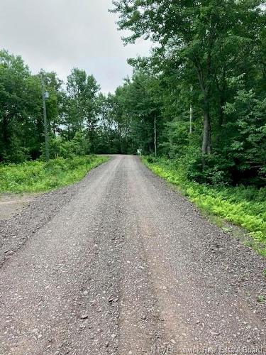 Lot Noble Lane, Maquapit Lake, NB 