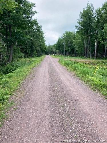 Lot Noble Lane, Maquapit Lake, NB 