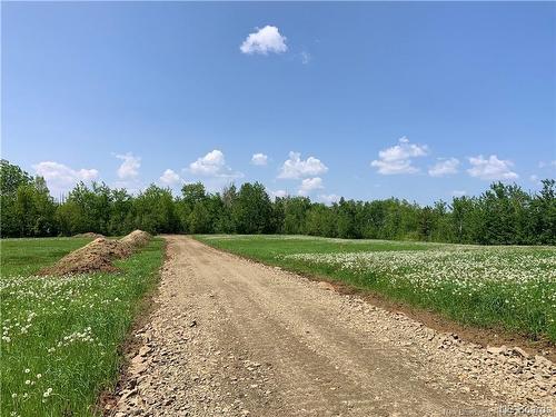 1 Acre Hatty'S Hideaway (Off Rte 117), Black River Bridge, NB 