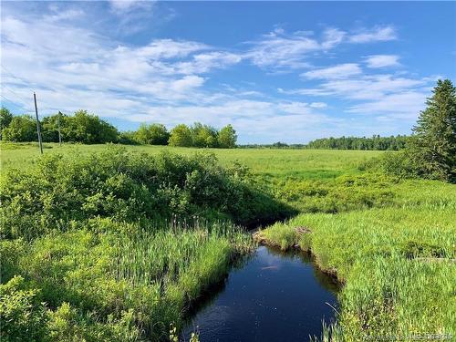 1 Acre Hatty'S Hideaway (Off Rte 117), Black River Bridge, NB 