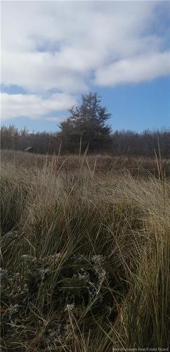 Lot 2 Robichaud, Pointe-Sapin, NB 