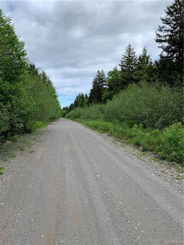 Lot 15-B Burchills Flats, St. Martins, NB 