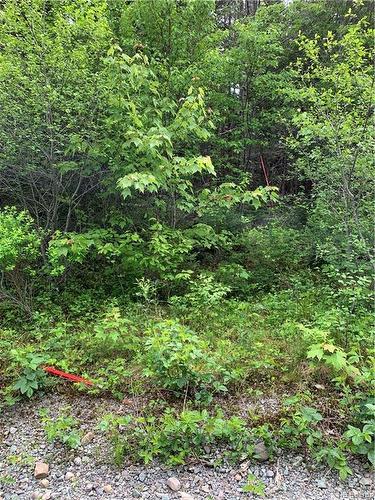 Lot 15-B Burchills Flats, St. Martins, NB 