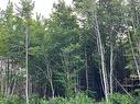 Lot 22-4 Maefield St, Lower Coverdale, NB 