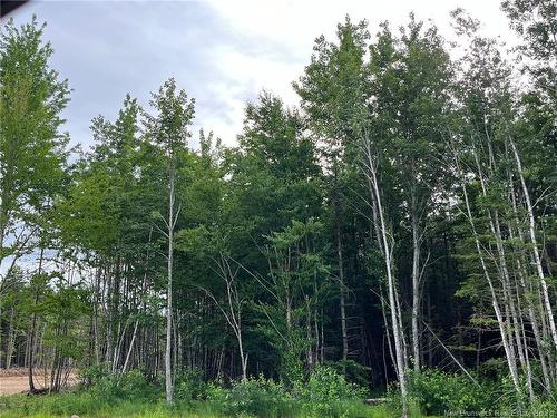 Lot 24-01 Maefield St, Lower Coverdale, NB 