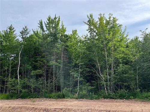 Lot 24-13 Maefield St, Lower Coverdale, NB 