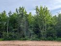 Lot 24-16 Maefield St, Lower Coverdale, NB 