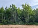 Lot 24-23 Kingsbury Crt, Lower Coverdale, NB 