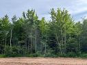 Lot 24-38 Queensbury Crt, Lower Coverdale, NB 