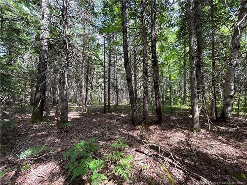 9.6 Acres Auburnville Rd, Bay Du Vin, NB 