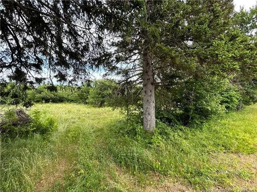 9.6 Acres Auburnville Rd, Bay Du Vin, NB 