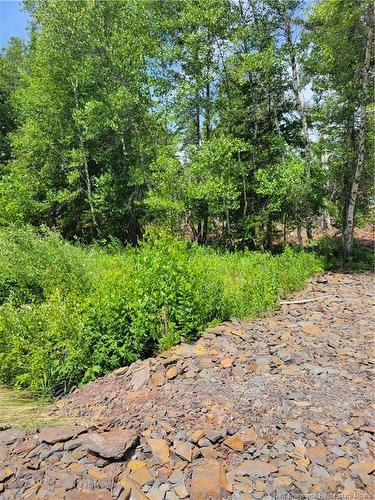 Lot 2022-2 Route 105, Mill Cove, NB 