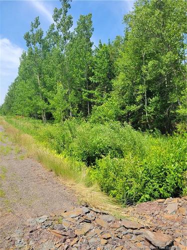 Lot 2022-2 Route 105, Mill Cove, NB 