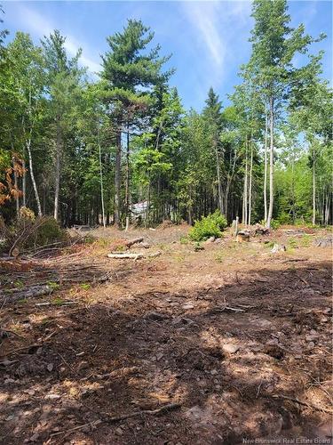 Lot 2022-2 Route 105, Mill Cove, NB 