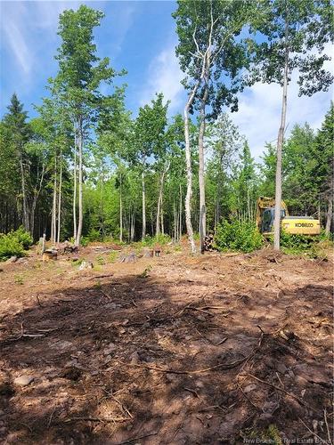 Lot 2022-2 Route 105, Mill Cove, NB 