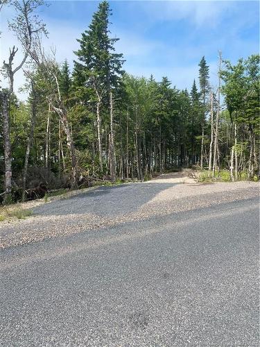 Na Maces Bay Rd, Maces Bay, NB 