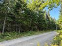 3.5 Acre Bossman Dr, Blackville, NB 