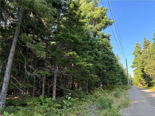 3.5 Acre Bossman Dr, Blackville, NB 