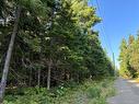 3.5 Acre Bossman Dr, Blackville, NB 