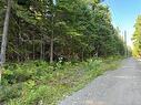 3.5 Acre Bossman Dr, Blackville, NB 