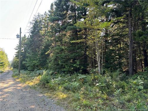 3.5 Acre Bossman Dr, Blackville, NB 