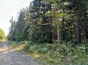 3.5 Acre Bossman Dr, Blackville, NB 