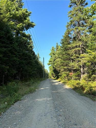 3.5 Acre Bossman Dr, Blackville, NB 