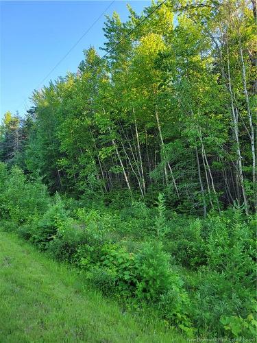 Lot 79-19 Morton Lane, Cumberland Bay, NB 