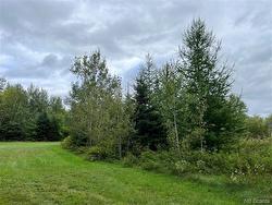 2 acres Craigville RD  Miramichi, NB E1N 5W1