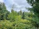 2 Acres Craigville Rd, Miramichi, NB 