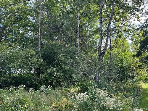 2 Acres Craigville Rd, Miramichi, NB 