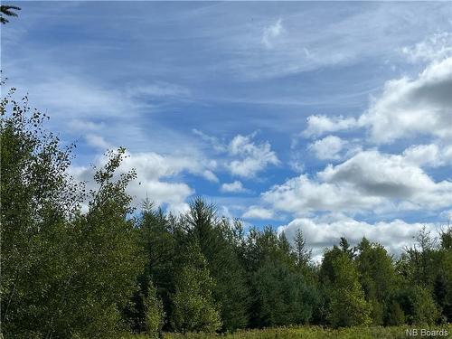 2 Acres Craigville Rd, Miramichi, NB 