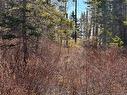 Lot De La Grande Île Lane, Pointe-Alexandre, NB 