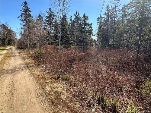 Lot De La Grande Île Lane, Pointe-Alexandre, NB 