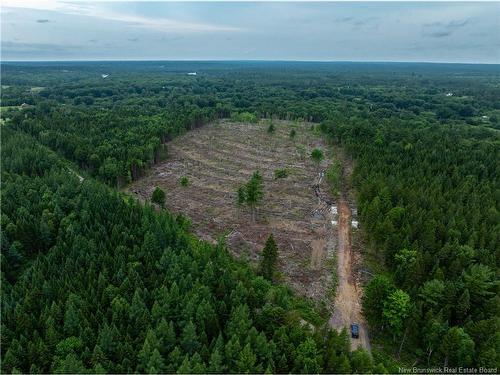 Lot Hopkins Rd, Gaspereau Forks, NB 