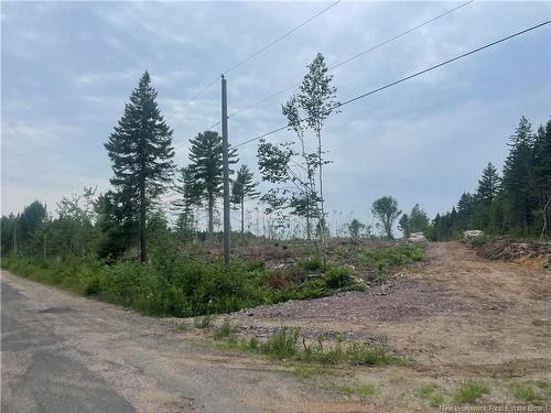 Lot Hopkins Rd, Gaspereau Forks, NB 