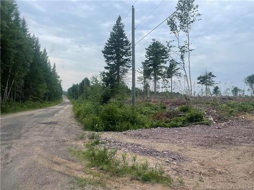 Lot Hopkins Rd, Gaspereau Forks, NB 