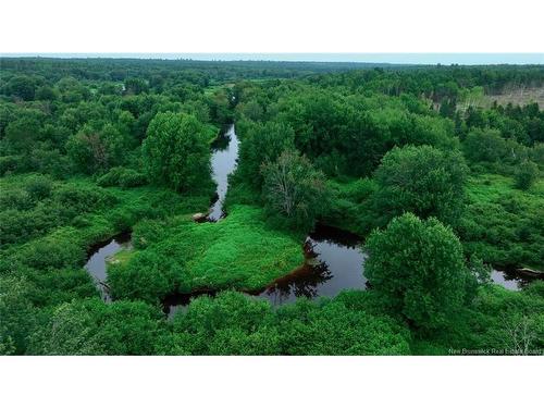 Lot Hopkins Rd, Gaspereau Forks, NB 