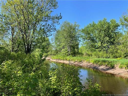 Lot Hopkins Rd, Gaspereau Forks, NB 