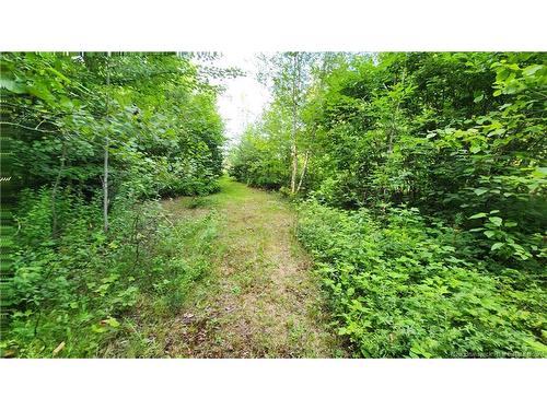 7.6 Acres Rue Pinet, Bertrand, NB 