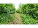 7.6 Acres Rue Pinet, Bertrand, NB 