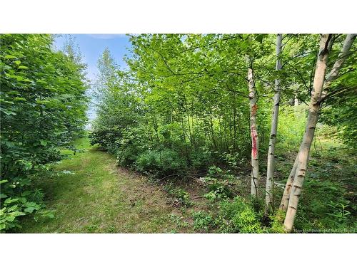 7.6 Acres Rue Pinet, Bertrand, NB 