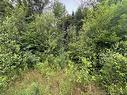 Lot Pleasant Dr, Minto, NB 