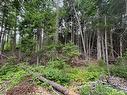 Lot Pleasant Dr, Minto, NB 