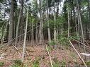 Lot Pleasant Dr, Minto, NB 